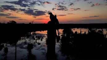 JARDIM DA AMAZONIA LODGE