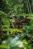 JARDIM DA AMAZONIA LODGE