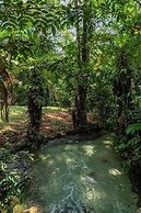 JARDIM DA AMAZONIA LODGE