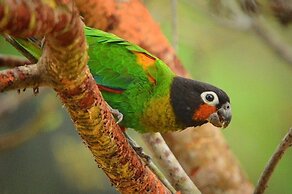 JARDIM DA AMAZONIA LODGE