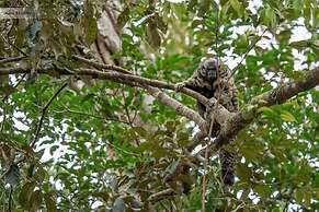 JARDIM DA AMAZONIA LODGE