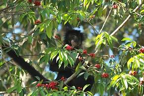 JARDIM DA AMAZONIA LODGE
