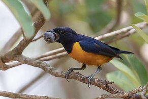 JARDIM DA AMAZONIA LODGE