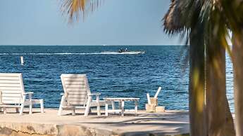 Lush Tropical Plantings In A Gated Compound Located Directly On The Fl