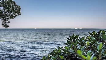 Lush Tropical Plantings In A Gated Compound Located Directly On The Fl