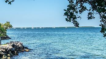 Lush Tropical Plantings In A Gated Compound Located Directly On The Fl