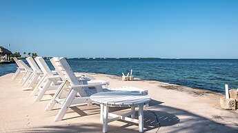 Lush Tropical Plantings In A Gated Compound Located Directly On The Fl