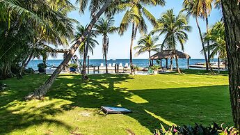 Lush Tropical Plantings In A Gated Compound Located Directly On The Fl