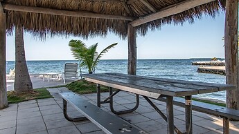 Lush Tropical Plantings In A Gated Compound Located Directly On The Fl