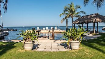 Lush Tropical Plantings In A Gated Compound Located Directly On The Fl