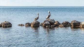 Bayfront Townhome With Boat Slip, Pool And Beach 2 Bedroom Townhouse b