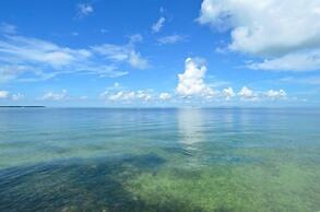 Gated Estate Duplex On The Bay With Dockage 2 Bedroom Apts by RedAwnin