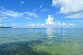 Complete Duplex On Gated Bayfront Property 4 Bedroom Apts by RedAwning