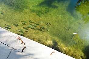 Complete Duplex On Gated Bayfront Property 4 Bedroom Apts by RedAwning