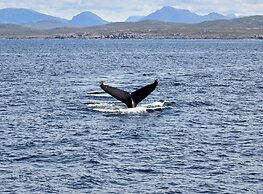 Kildonan House Village Centre Sleep 8 With hot tub