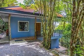 Cantos del Bosque Monteverde