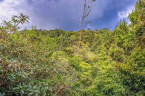 Cantos del Bosque Monteverde