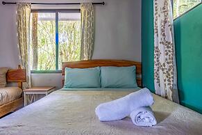 Cantos del Bosque Monteverde