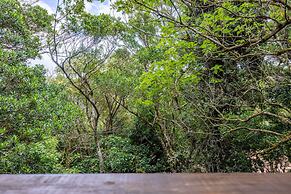 Cantos del Bosque Monteverde