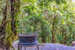 Cantos del Bosque Monteverde