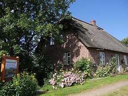 am Westerdeich Comfortable Holiday Residence
