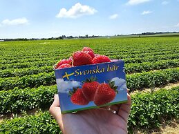 4 Star Holiday Home in Garsnas