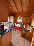 Beautiful log Cabin Near Wildkogel Arena