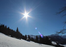 Dog-friendly Chalet in Bregenzerwald