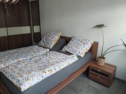 Modern Apartment With Balcony