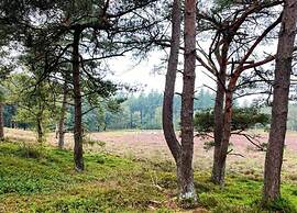 Getaway With Garden in Gelderland