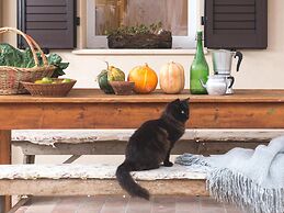 Nice Tent With Swimming Pool