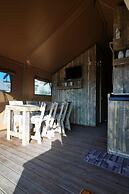 Nice Tent With Swimming Pool