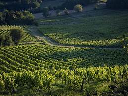 Camiran Escape: Wine & Calm