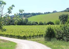 Pleasant Tent With Swimming Pool