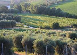 Bright Apartment in a Farmhouse With Swimming Pool