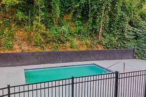 Brand New 4 4 Minutes to Dollywood Hot Tub