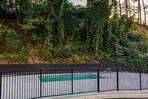 Brand New 4 4 Minutes to Dollywood Hot Tub