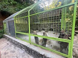 Kampung Karuhun Eco Green Park Sumedang