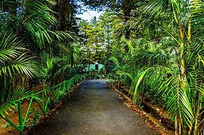 Cabañas Lunas del Poas