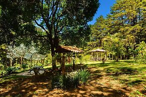 Cabañas Lunas del Poas