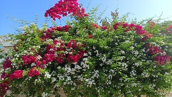 Apartment For 2 - 4 People Just 100m From the Sandy Sea