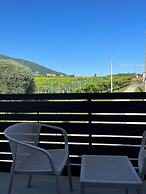 Alle Colline