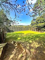 Fazenda 45min de SP - Muito lazer!