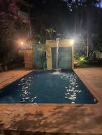 Pousada Rota dos Macacos - 02 - Macacos