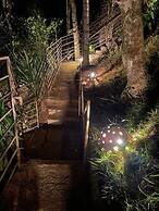 Pousada Rota dos Macacos - 02 - Macacos