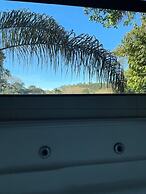 Pousada Rota dos Macacos - 02 - Macacos