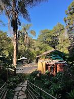 Pousada Rota dos Macacos - 02 - Macacos