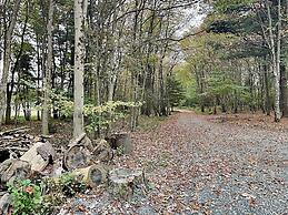 Wander Through the Woods by Taylor Made Deep Creek