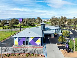 Spark by Hilton Williams