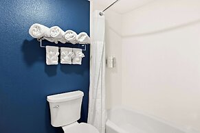 Spark by Hilton Williams